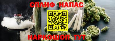 гидропоника Дубна