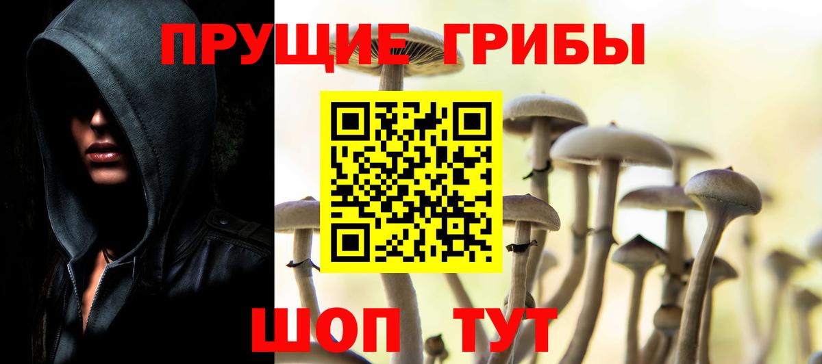Кропоткин  Псилоцибиновые грибы ЛСД  Вход с VPN  Галлюциногенные грибы Psilocybe 